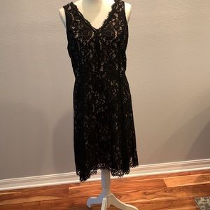 Black lace Ann Taylor LOFT cocktail dress size 10 like new
